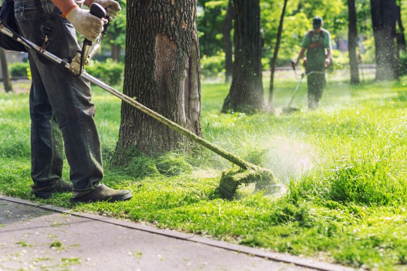 Keeps your lawn looking neat and well-maintained
