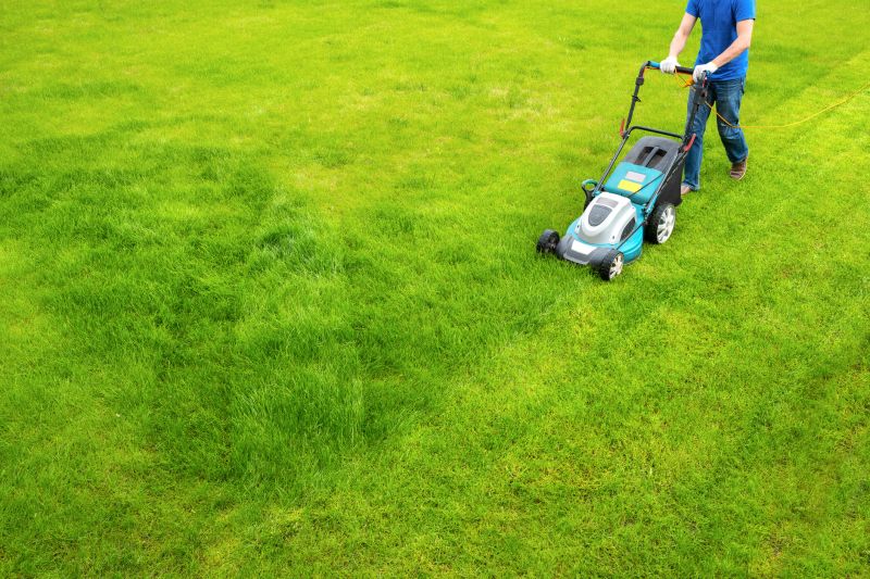Lawn Mowing And Trimming