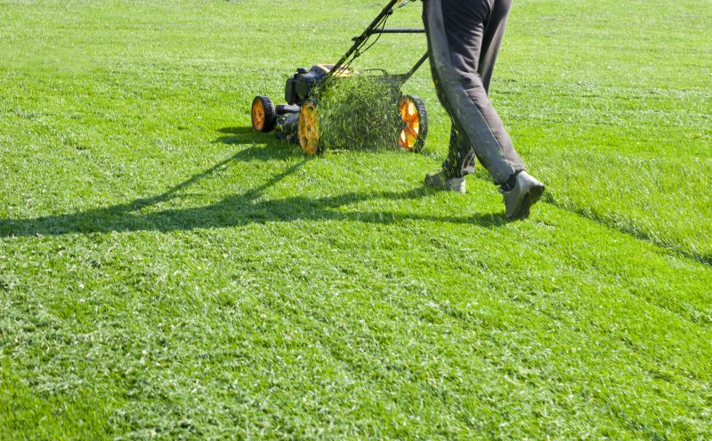 Trimming helps control weeds and maintains a tidy appearance