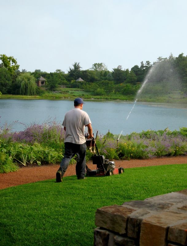 Regular mowing supports growth and prevents overgrowth